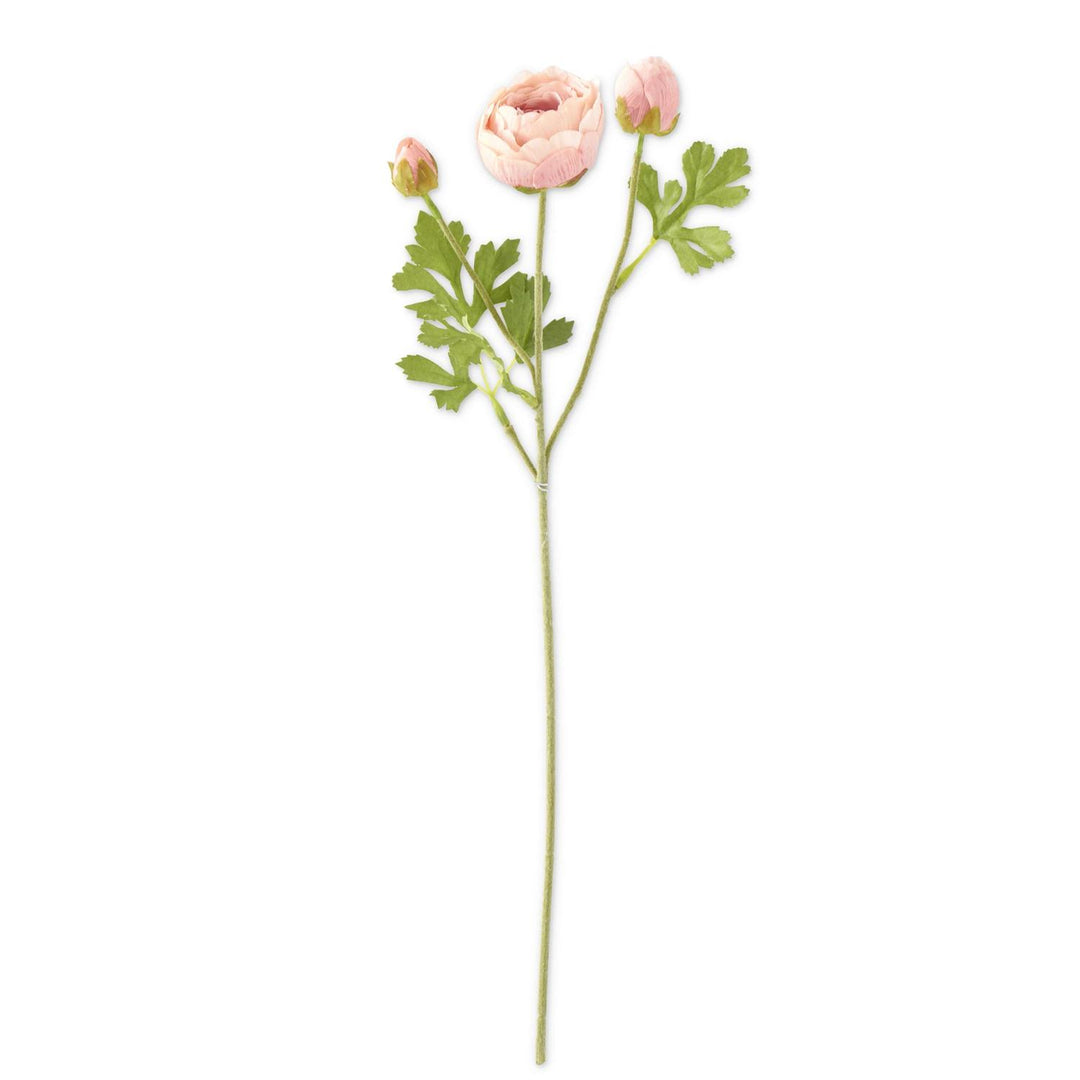 3 Head Ranunculus Stem