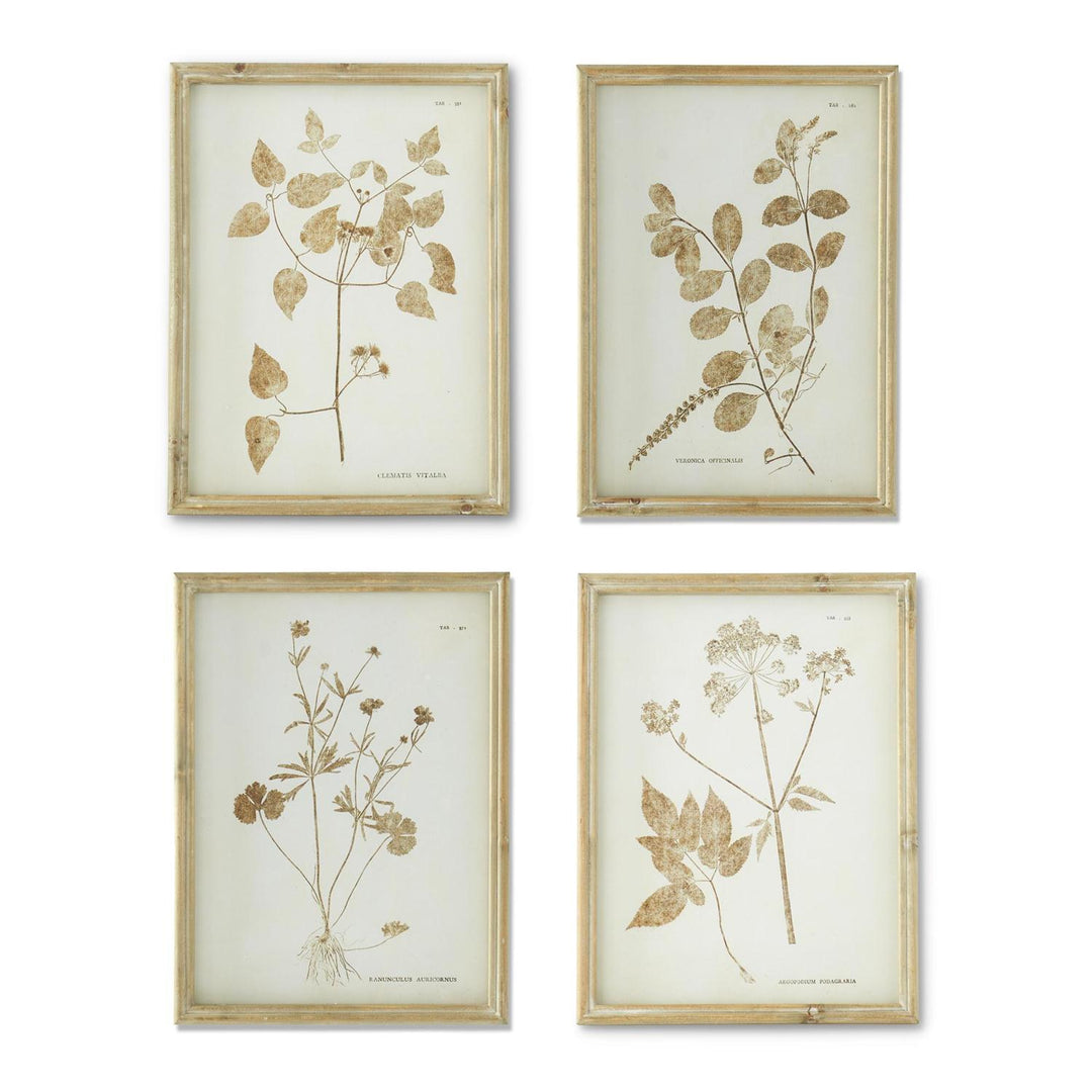 Brown Floral Print - Madison's Niche 