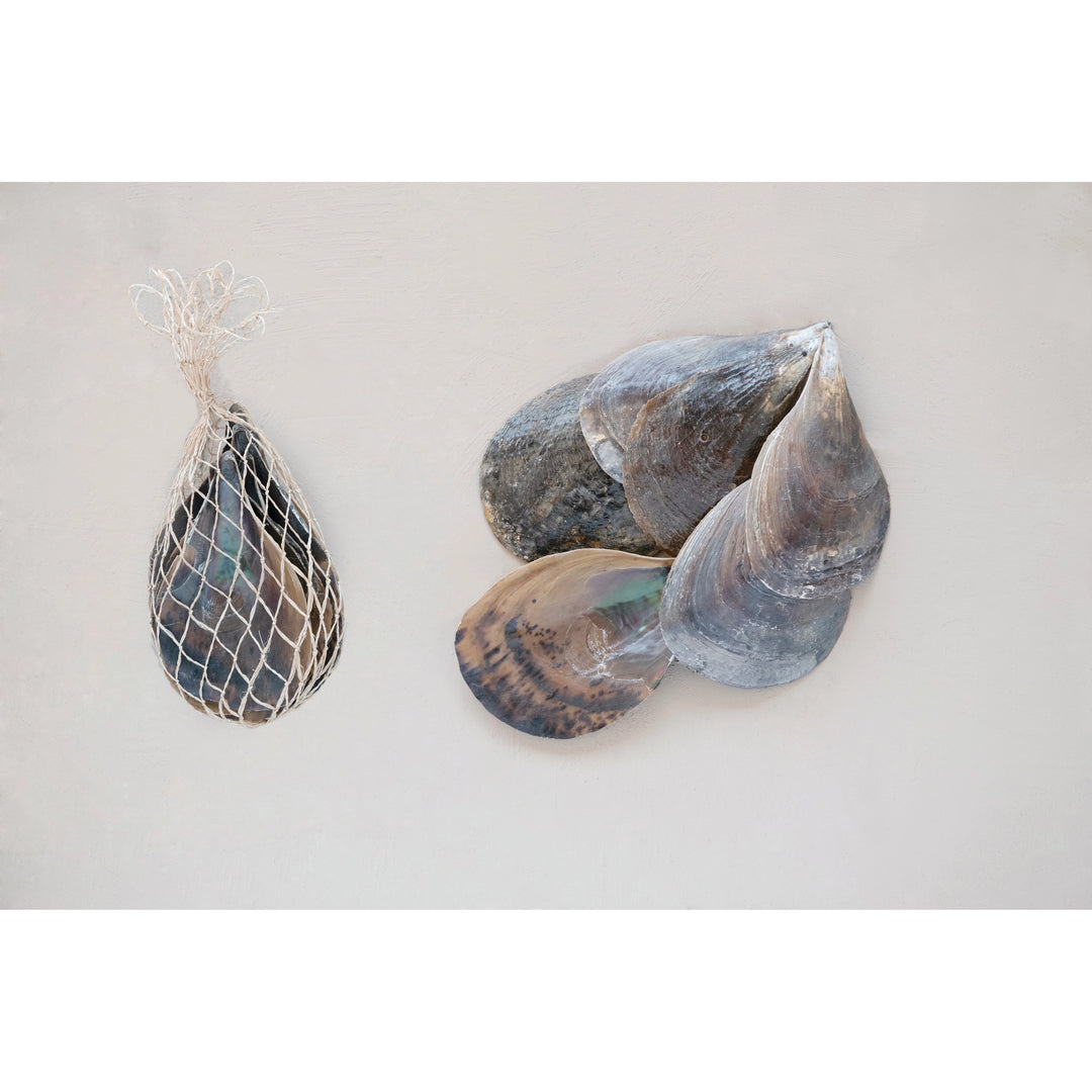 Clam Shells in Bag - Madison's Niche 