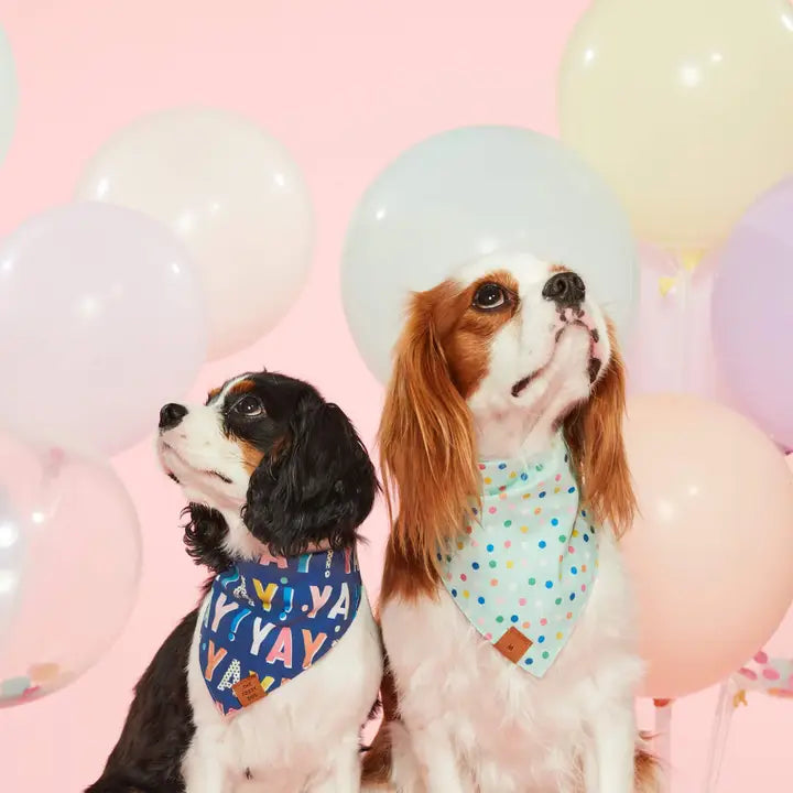 Reversible Birthday Yay Bandana - Madison's Niche 