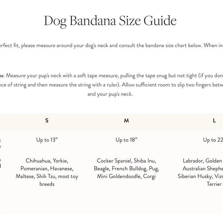 Reversible Birthday Yay Bandana - Madison's Niche 