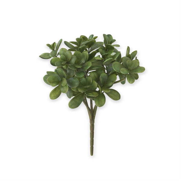 11.5 Inch Jade Pick Madison's Niche 