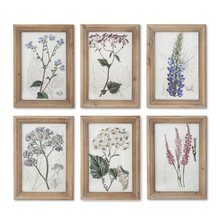 16.5" Framed Flower Print - Madison's Niche 