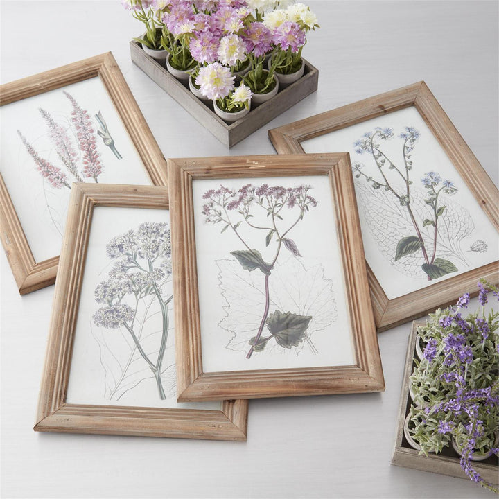 16.5" Framed Flower Print - Madison's Niche 