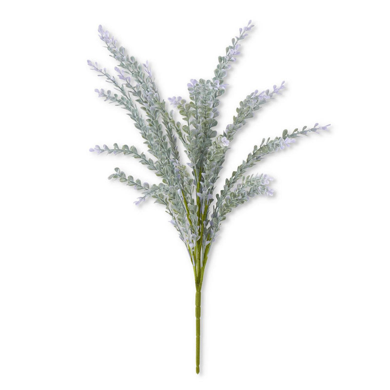 Soft Green With Purple Bush