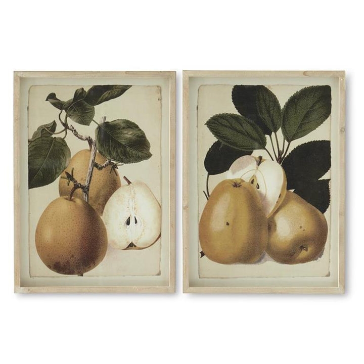 20" Framed Pear Print