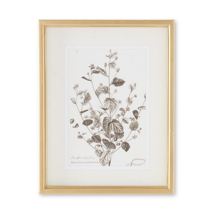 18" Gold Frame Botanical Print