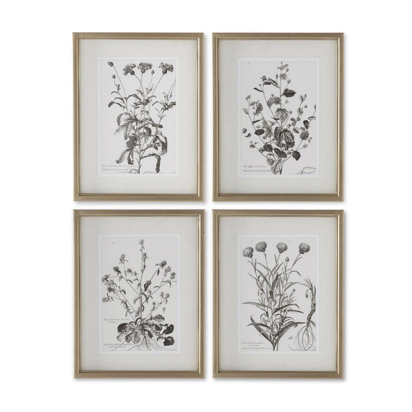 18" Gold Frame Botanical Print Madison's Niche 