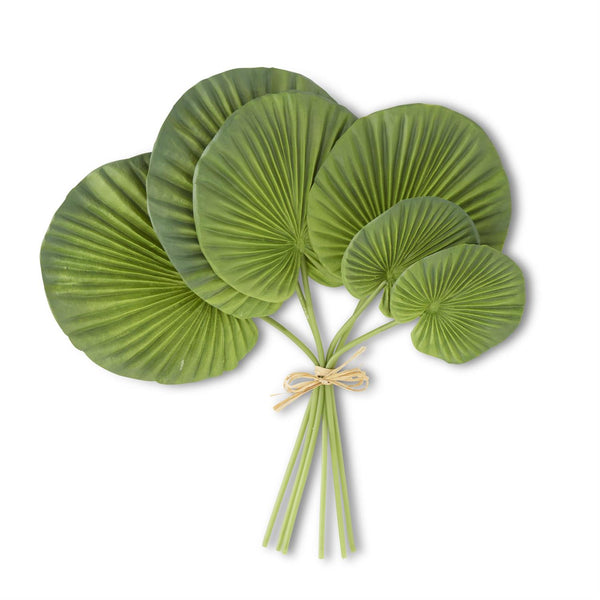 Bundle of 6 Fan Palm Madison's Niche 