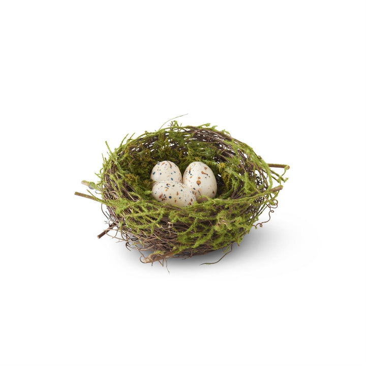 Bird Nest with 3 Eggs
