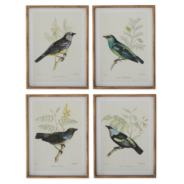 Bird Print With Twist Frame