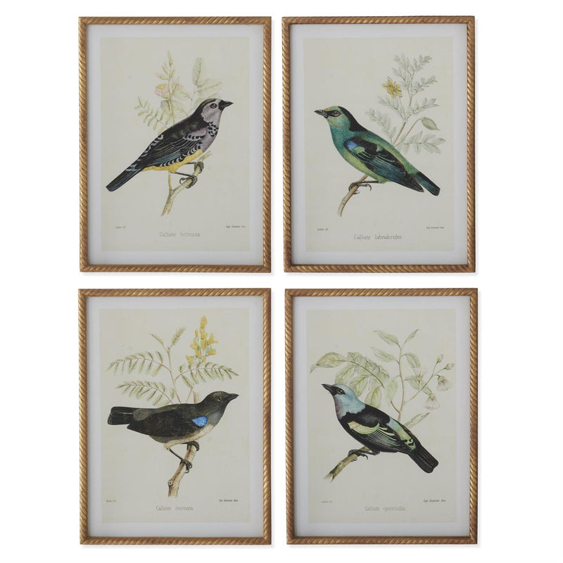 Bird Print With Twist Frame
