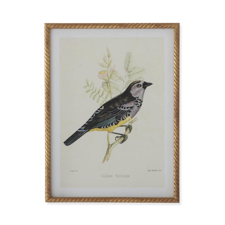Bird Print With Twist Frame