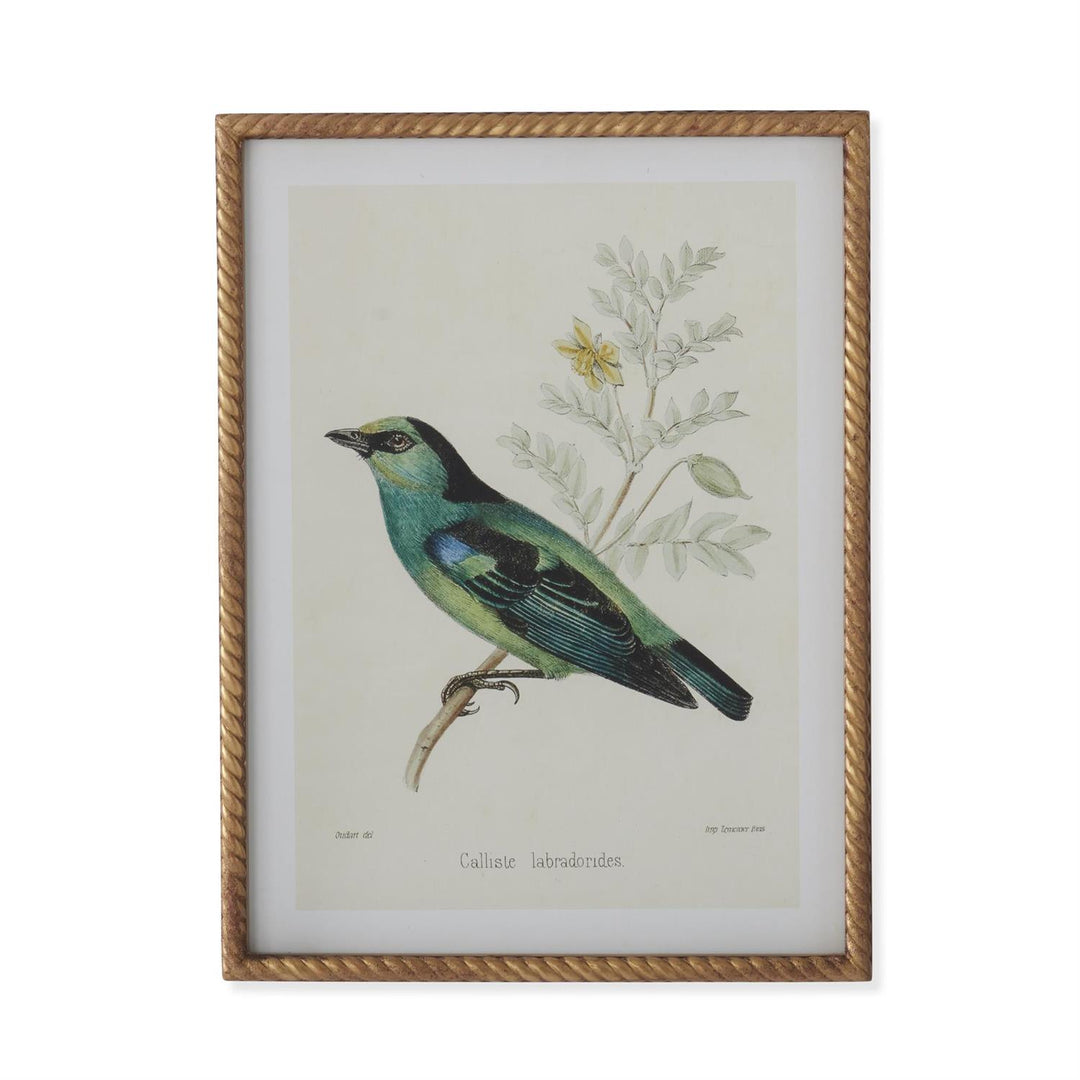 Bird Print With Twist Frame