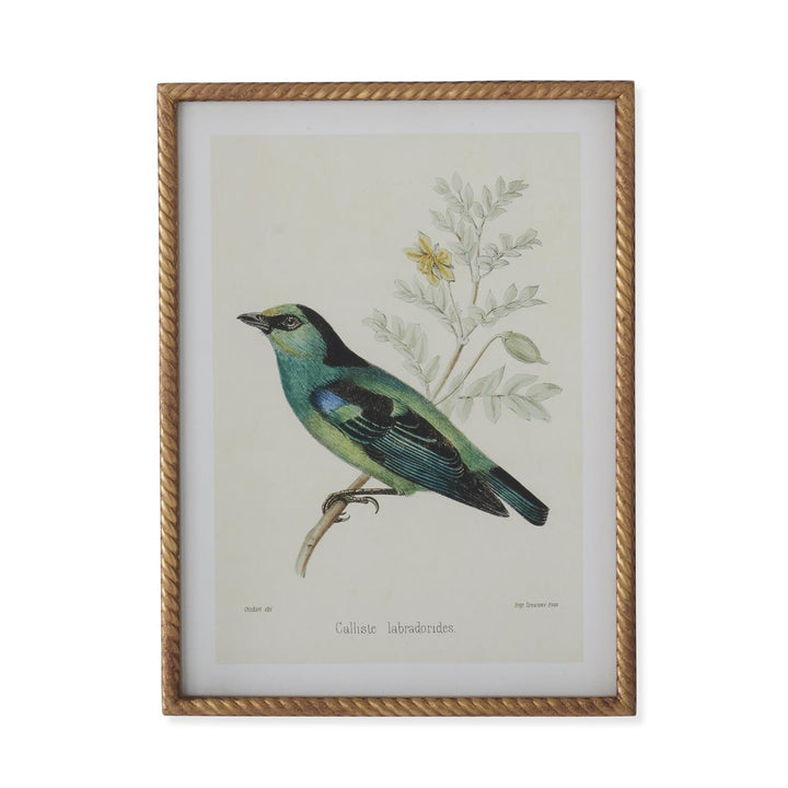 Bird Print With Twist Frame
