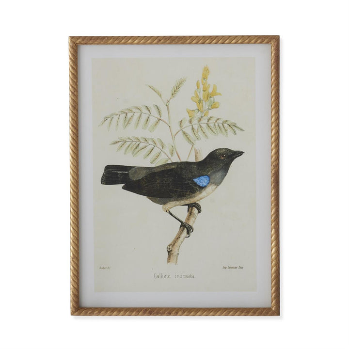Bird Print With Twist Frame