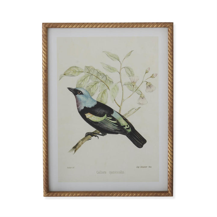 Bird Print With Twist Frame