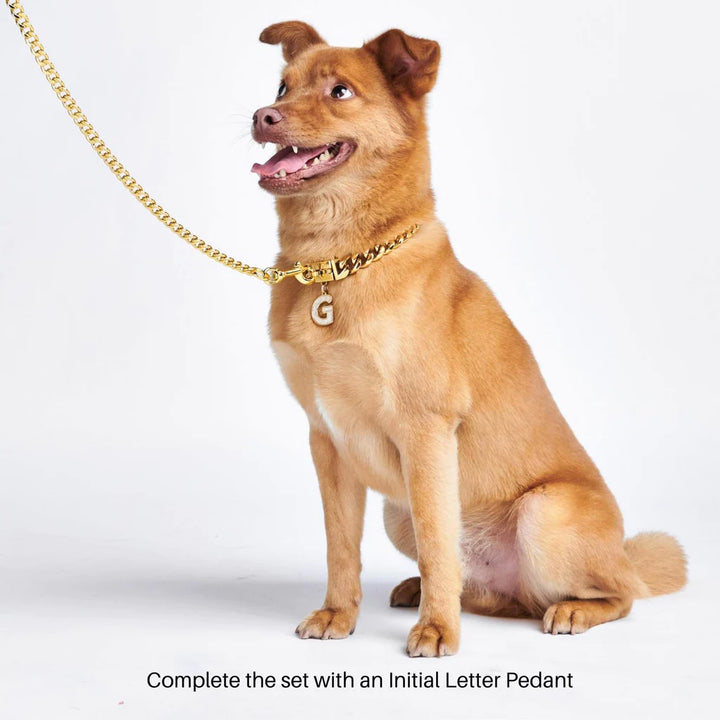 Cuban Link Collar - Madison's Niche 