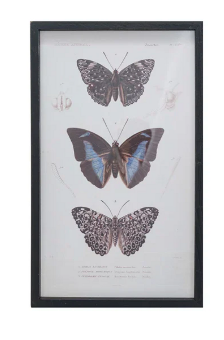 Butterflies Wall Art - Madison's Niche 