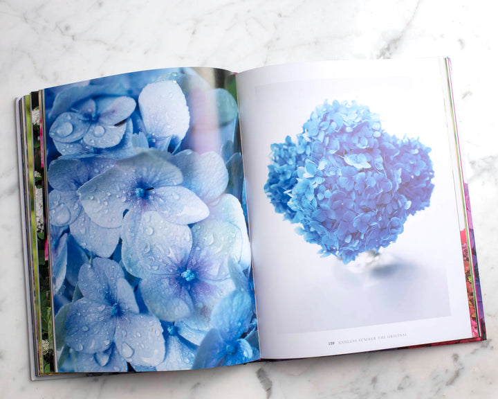 Hydrangeas Book