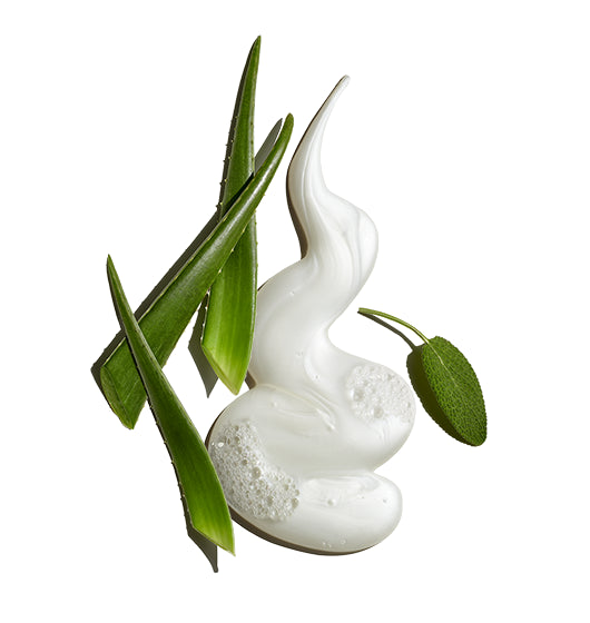 Daily Facial Cleanser - Madison's Niche 