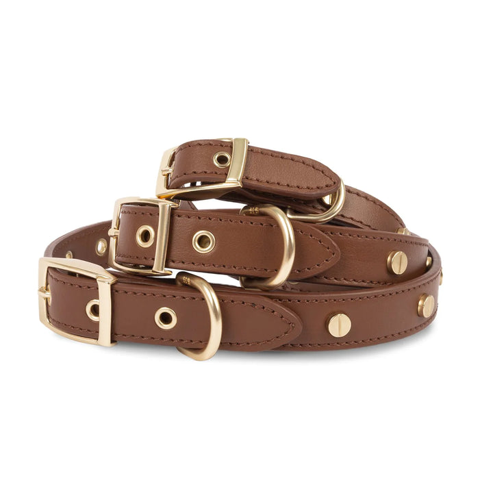 Stud Leather Collar - Madison's Niche 