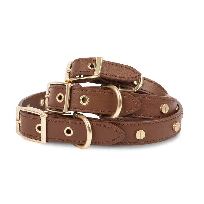Stud Leather Collar - Madison's Niche 