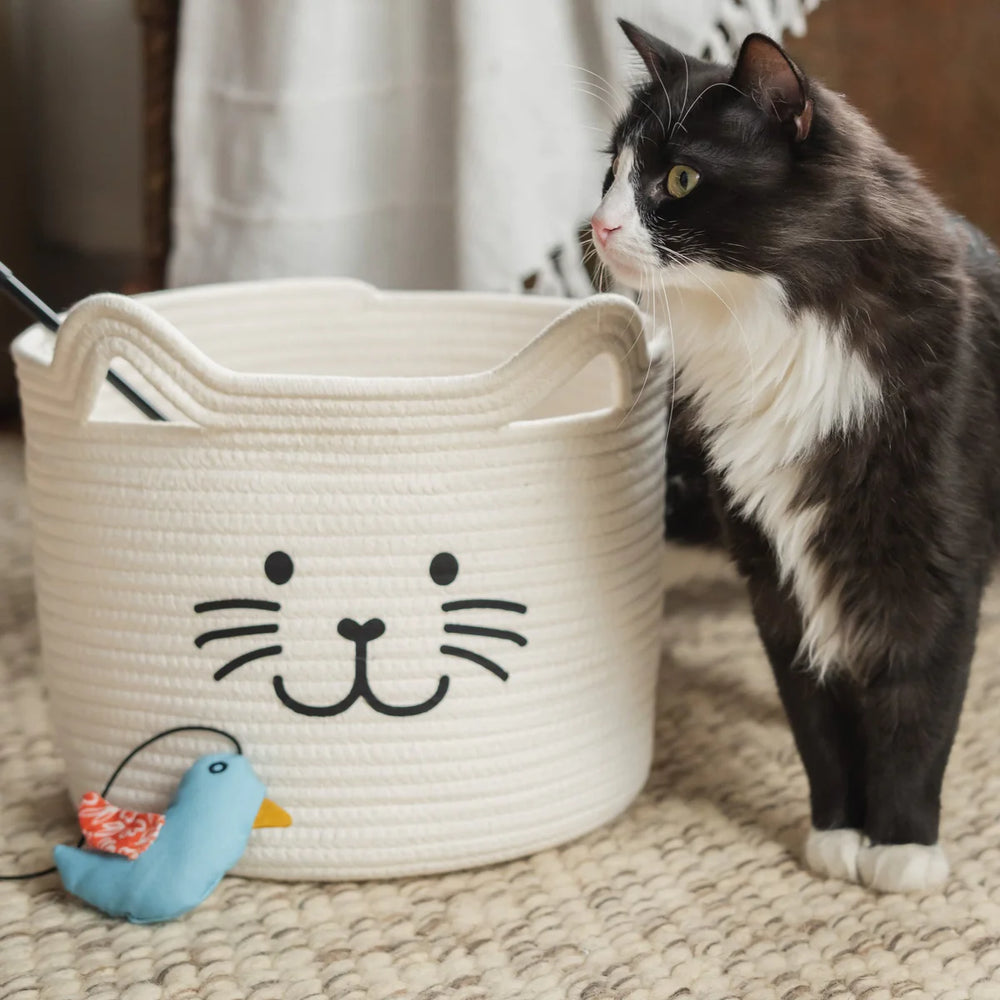 Kitty Cat Rope Basket - Madison's Niche 