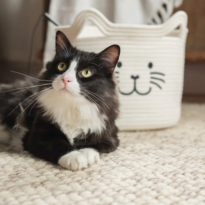 Kitty Cat Rope Basket - Madison's Niche 