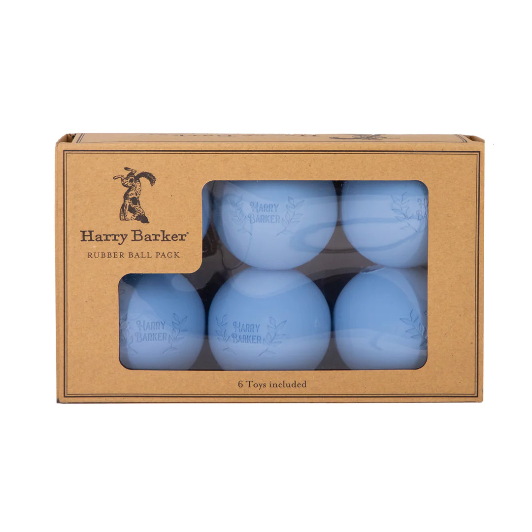 6 Rubber Ball Set - Medium