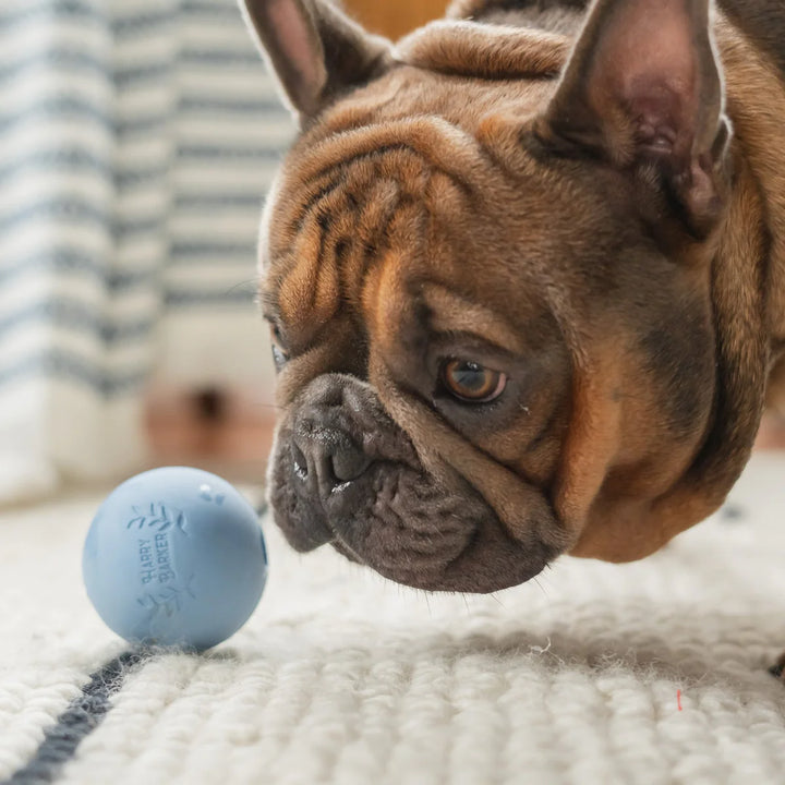 6 Rubber Ball Set - Medium - Madison's Niche 