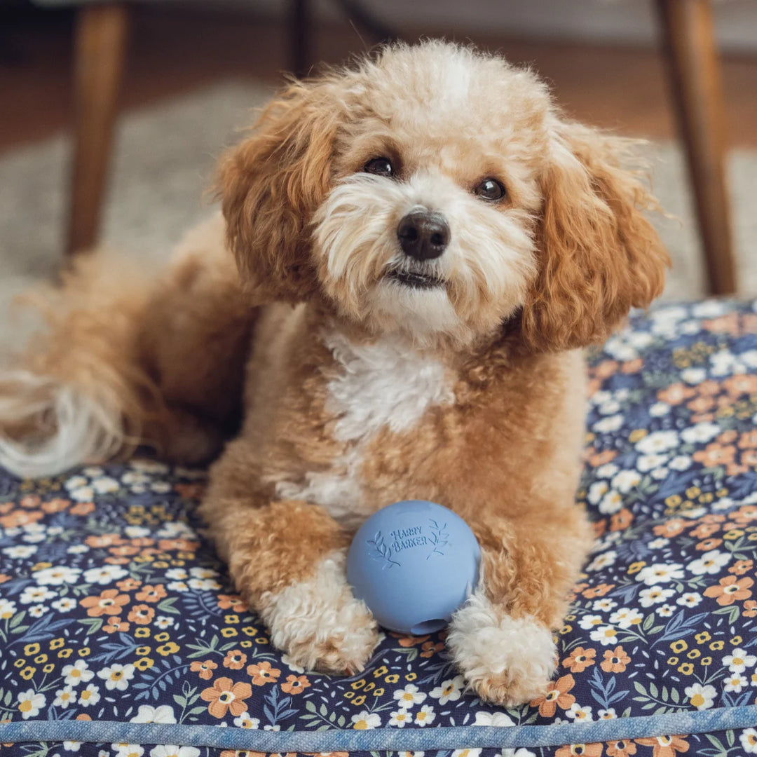 6 Rubber Ball Set - Medium