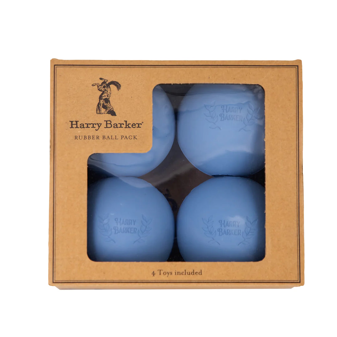 4 Rubber Ball Set - Large - Madison's Niche 