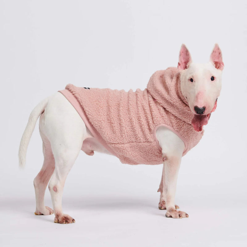 Pink Sherpa Jacket - Madison's Niche 