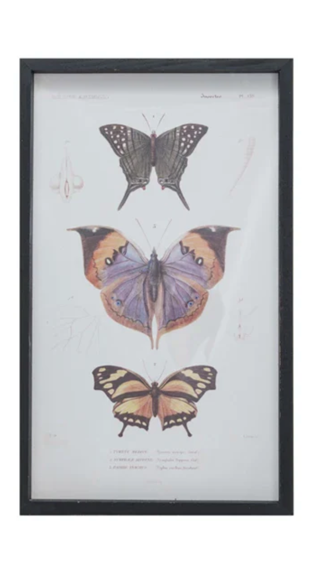 Butterflies Wall Art - Madison's Niche 