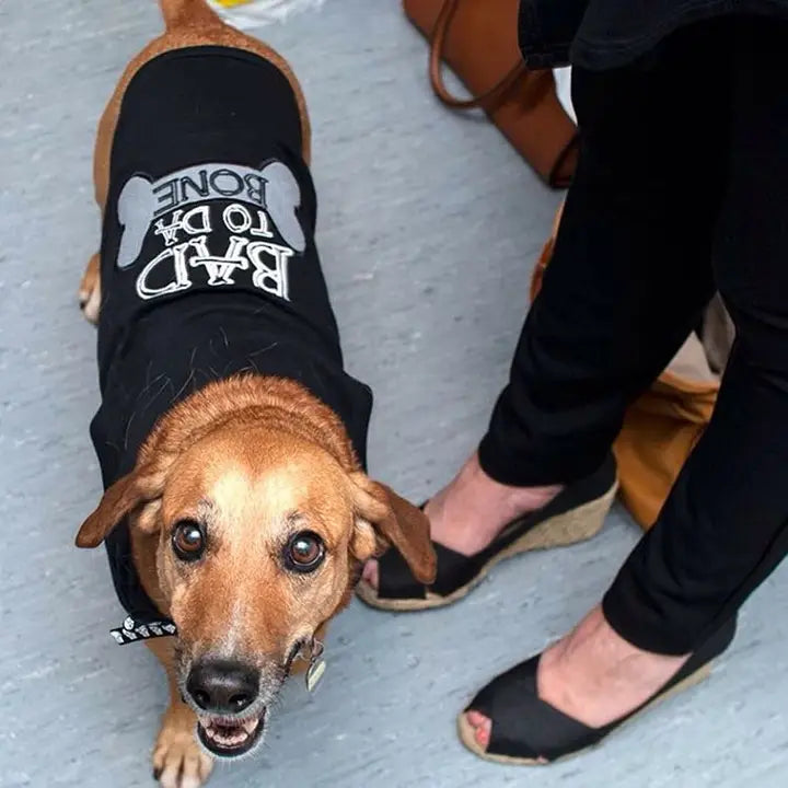 Bad To Da Bone T-Shirt - Madison's Niche 