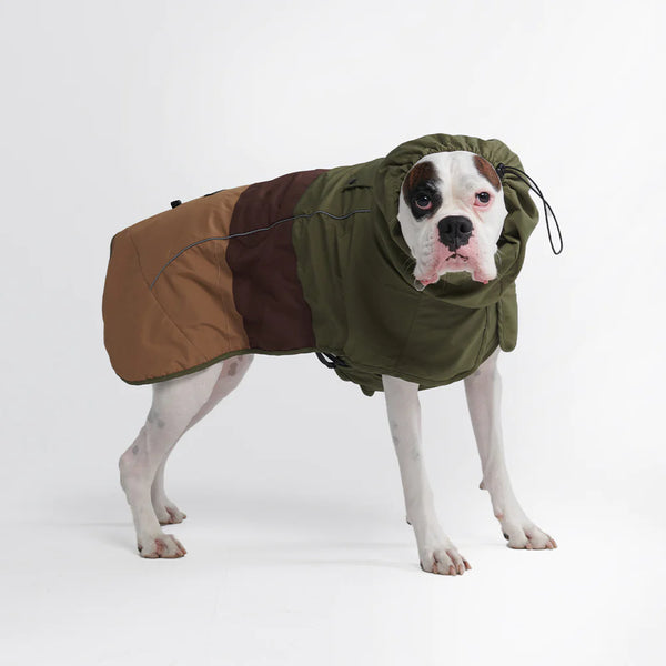 Green & Tan Raincoat - Madison's Niche 