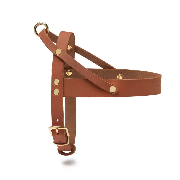 Sahara Harness - Madison's Niche 