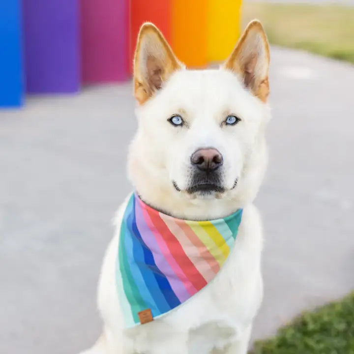 Over The Rainbow Bandana - Madison's Niche 