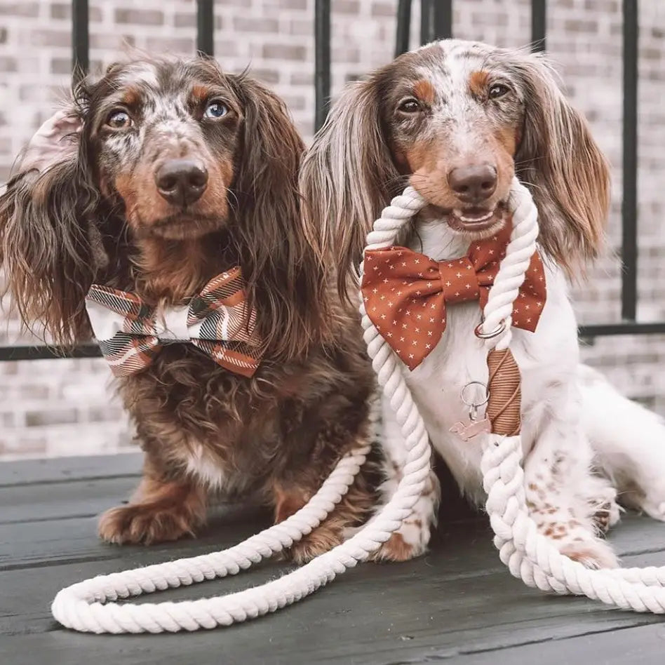Rope Leash in Natural