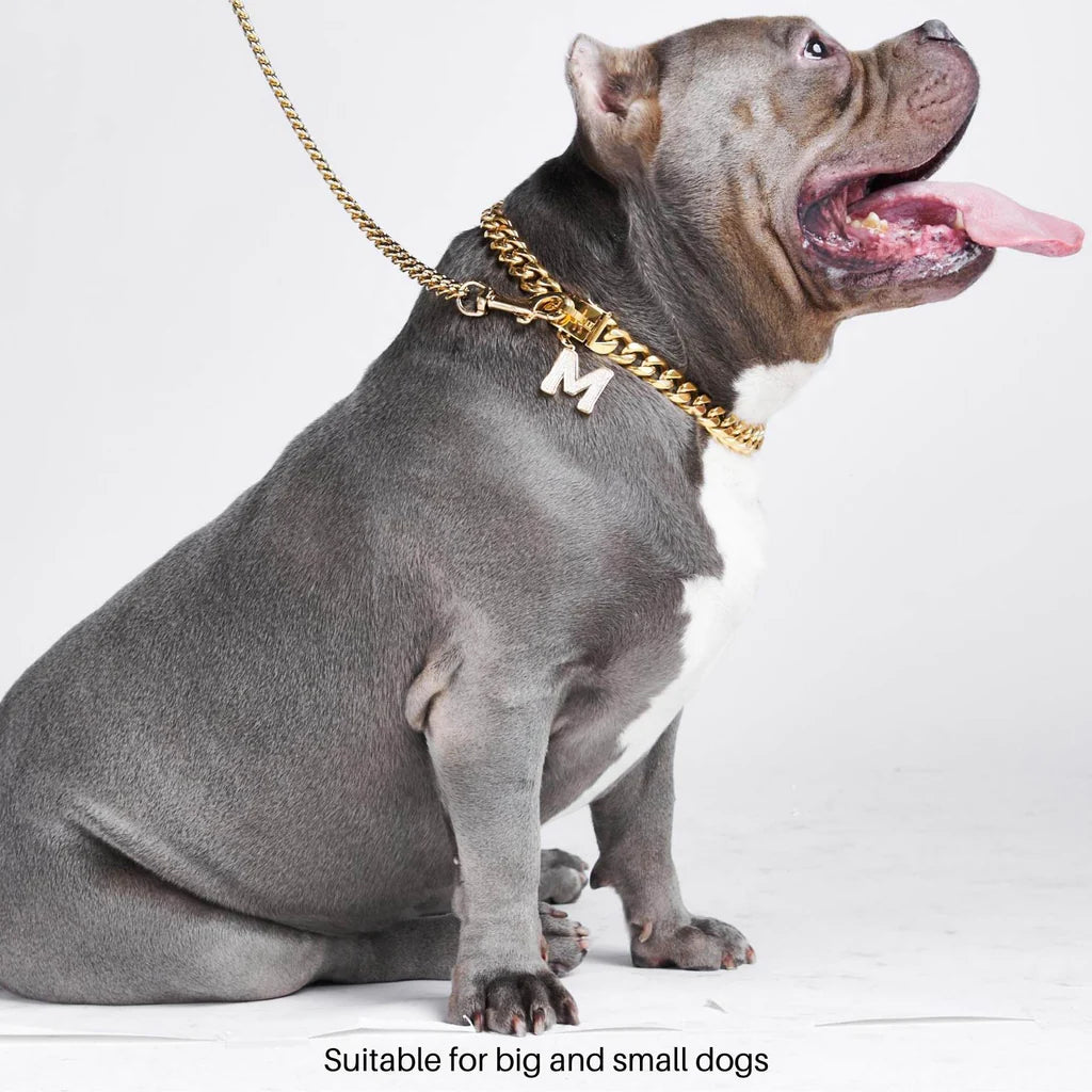 Cuban Link Collar