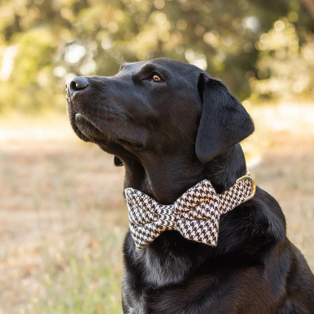 Houndstooth Bow Tie