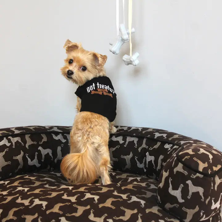 Got Treats T-Shirt - Madison's Niche 
