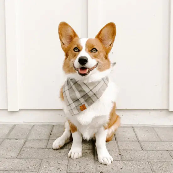 Andover Plaid Bandana