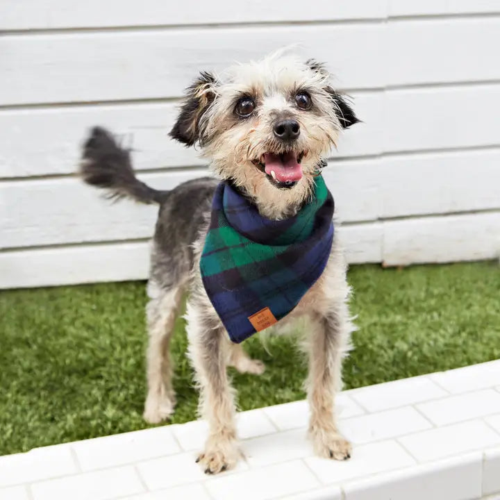 Black Watch Plaid Bandana - Madison's Niche 