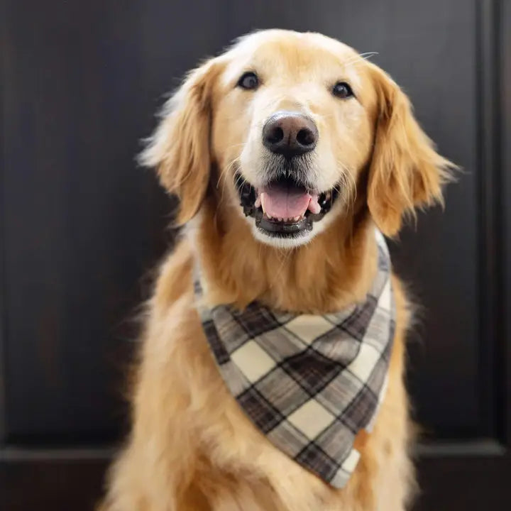 Chestnut Plaid Bandana - Madison's Niche 
