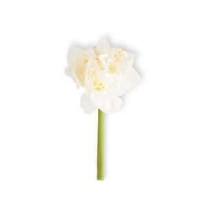 16" White Amarylis Stem
