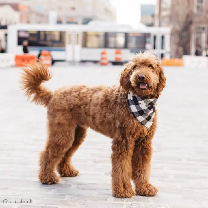 Black & White Check Bandana - Madison's Niche 
