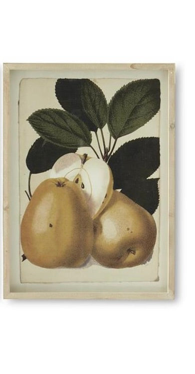 20" Framed Pear Print