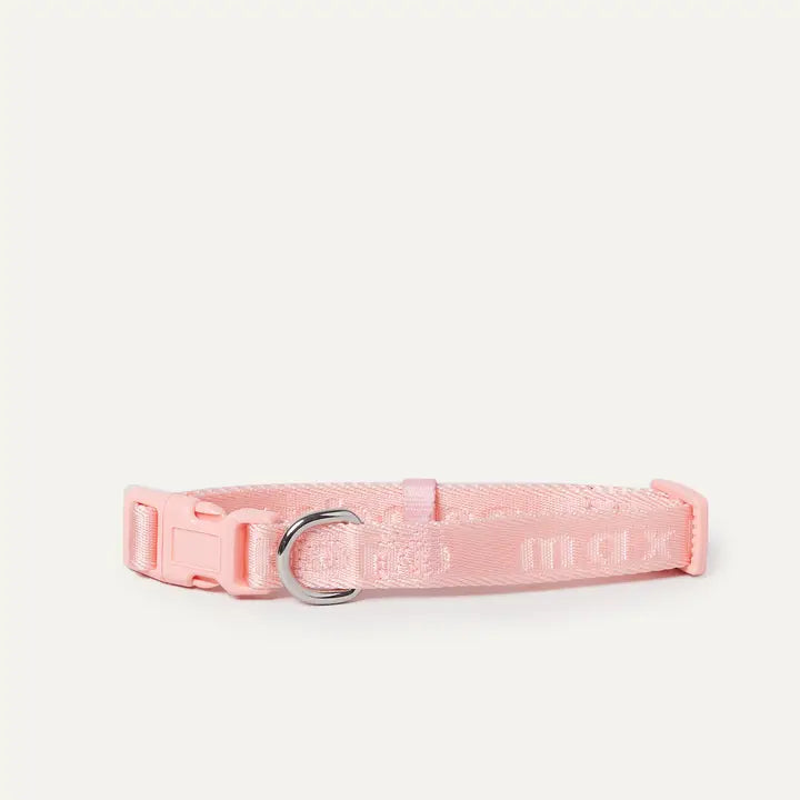 ﻿Signature Dog Collar in Peach - Madison's Niche 